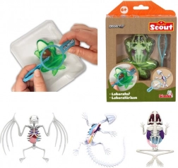 Mini laboratoire de dissection – grenouille, salamandre ou chauve-souris