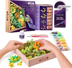 OKTO Energy kit créatif de modelage artistique avec succulentes dans un cadre en bois
