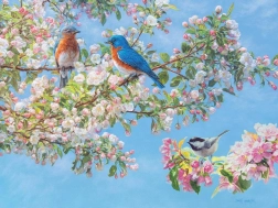 Puzzle Festival des fleurs XL 275 pièces de Cobble Hill