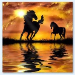 Mosaïque diamant (diamond painting) Chevaux – coucher de soleil 30 × 30 cm - 1 pièce