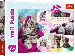 Puzzle Trefl chatons adorables 160 pièces