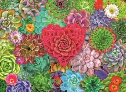 Puzzle Paradis des succulentes 500 pièces