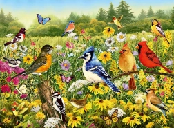 Puzzle Ravensburger Prairie aux oiseaux 500 pièces