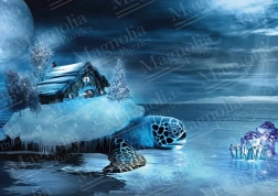 Puzzle maison et tortue 1000 pièces