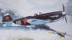 Modèle d'avion Yakovlev Yak 3