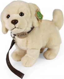 Chien en peluche Golden Retriever avec laisse 25 cm