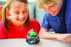 Cristaux verts 4M – kit éducatif de culture de cristaux