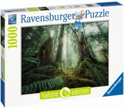 Puzzle 1000 pièces Forêts Ravensburger