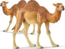 Schleich dromadaire – figurine Wild Life
