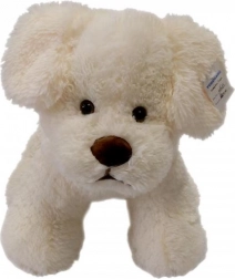 Chien en peluche crème