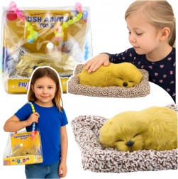 Labrador endormi sur un coussin avec fourrure douce et sons