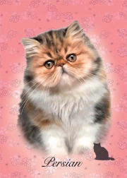 Puzzle Chat Persan 100 pièces