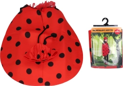 Costume Coccinelle pour carnaval