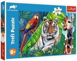 Puzzle Animaux extraordinaires 300 pièces 60 × 40 cm