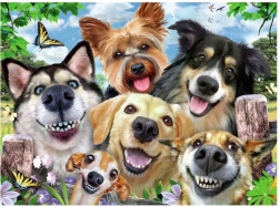 Puzzle Selfie de chiens 500 pièces Ravensburger