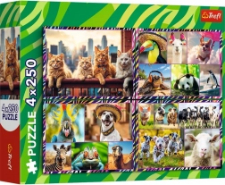 Puzzle 4×250 pièces Animaux joyeux