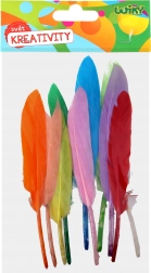 Ensemble créatif de plumes décoratives