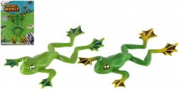 Grenouille en plastique pour jouer