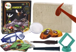 Ensemble Archéologique Excavations Insectes dans l'Ambre