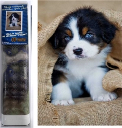 peinture diamant chiot bouvier bernois 30 × 40 cm