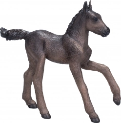 Mojo Poulain Arabe Noir