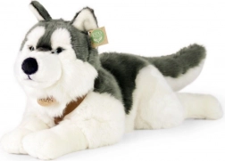 Chien Husky en peluche 60 cm ÉCOLOGIQUE