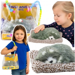 Husky endormi sur coussinet avec fourrure douce et sons, sac de transport