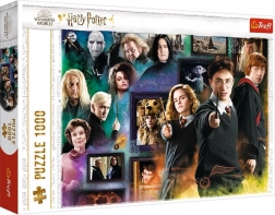Puzzle HARRY POTTER 1000 pièces – monde des sorciers