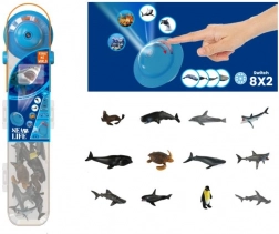 PLEJO animaux marins avec projecteur