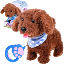 Chiot en peluche interactif avec laisse – Boucle