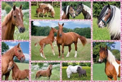Puzzle Magnifiques chevaux 150 pièces SCHMIDT