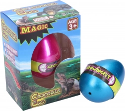 Œuf de crocodile à faire grandir 6,5 cm