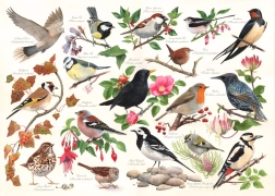 Puzzle Oiseaux dans le Jardin - 1000 Pièces