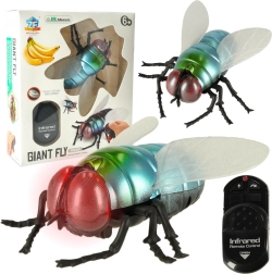 Mouche RC réaliste avec télécommande