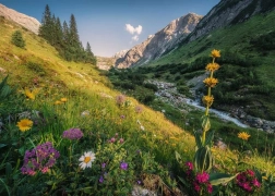 Puzzle Sourcil Magique 1000 pièces