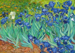 Profitez du Puzzle Vincent Van Gogh : Iris 1000 pièces