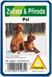 Kvarteto - Chiens (boîte en plastique)