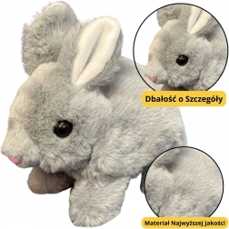 Peluche Lapin Gris 18 cm
