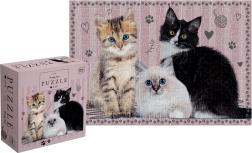Puzzle Bébés – chatons 250 pièces