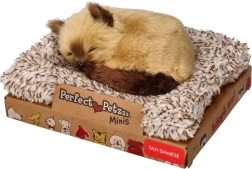 Perfect Petzzz petit chaton siamois