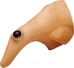 Nez de sorcière avec verrue