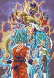 Puzzle 300 pièces Dragon Ball