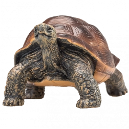 Figurine Mojo tortue géante – figurine animale réaliste