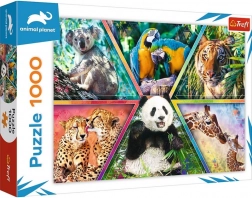 Puzzle 1000 pièces – royaume des animaux ANIMAL PLANET