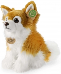 Rappa chihuahua en peluche assise 28 cm écoresponsable