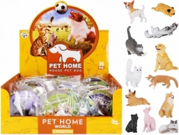 animaux éducatifs – chiens et chats avec carte et nom de l’espèce