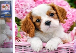 Peinture diamant chiot dans un panier rose 30 × 40 cm