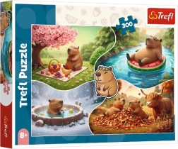 Puzzle 300 pièces – Quatre saisons avec des capybaras