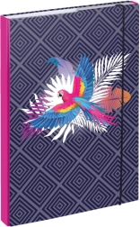 Chemises pour cahiers scolaires A4 Perroquet