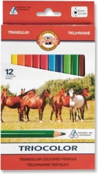 Crayons de couleur triangulaires TRIOCOLOR 12 pcs